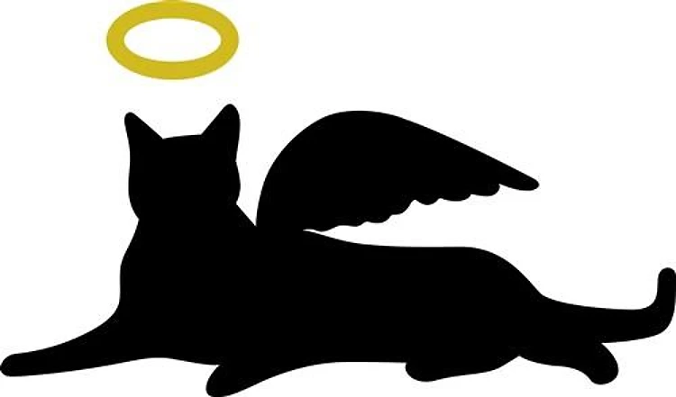 CAT ANGEL