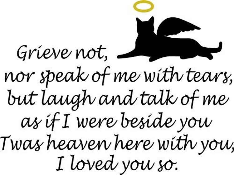I LOVED YOU SO
