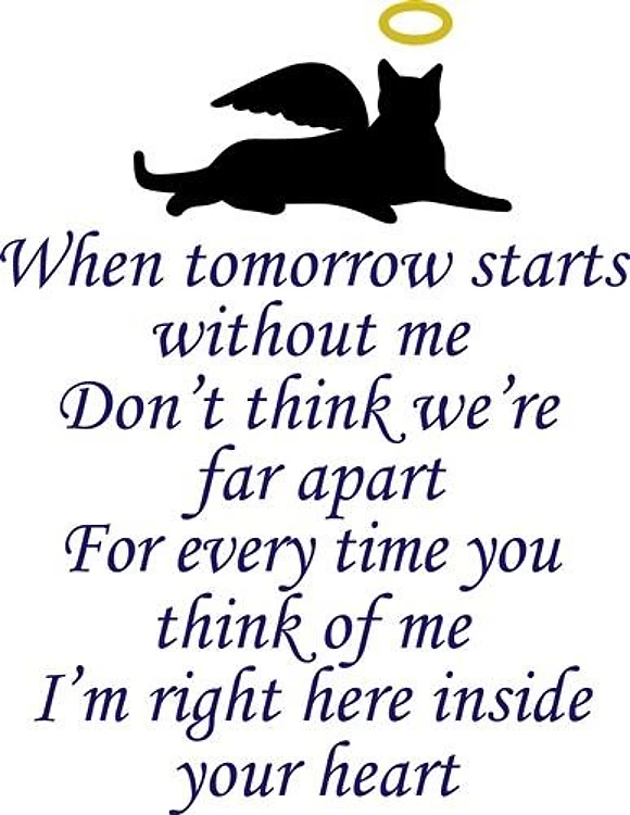 INSIDE YOUR HEART
