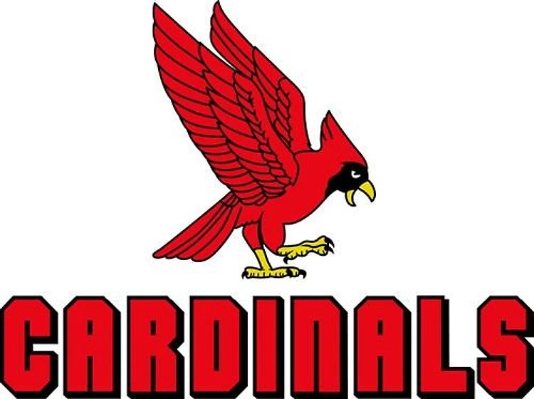 LARGE CARDINALS
