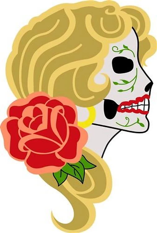 WOMANS SKULL