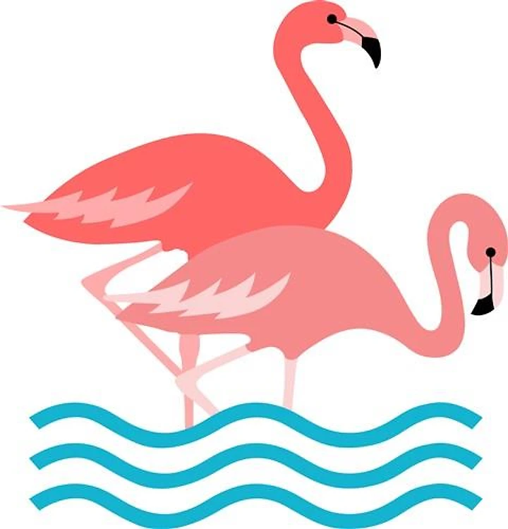 FLAMINGOS