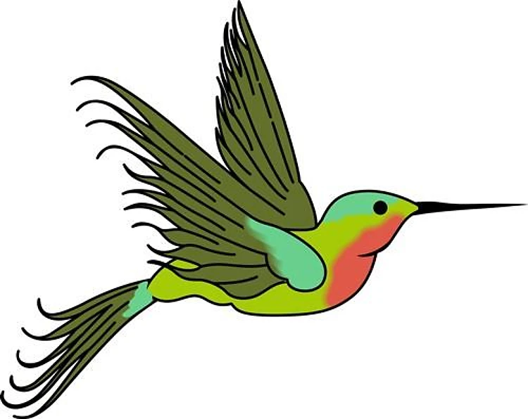 HUMMINGBIRD