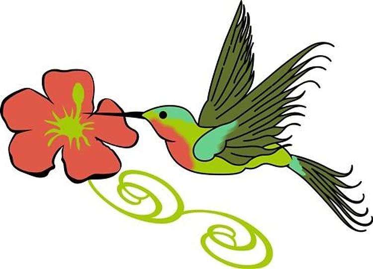 HUMMINGBIRD AND FLOWER