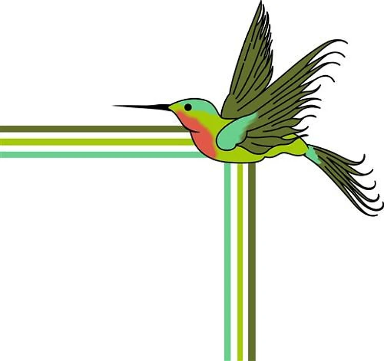 HUMMINGBIRD CORNER BORDER