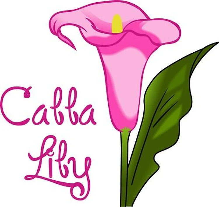 CALLA LILY