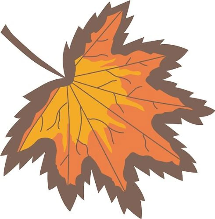 AUTUMN LEAF