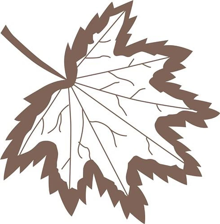 AUTUMN LEAF OUTLINE