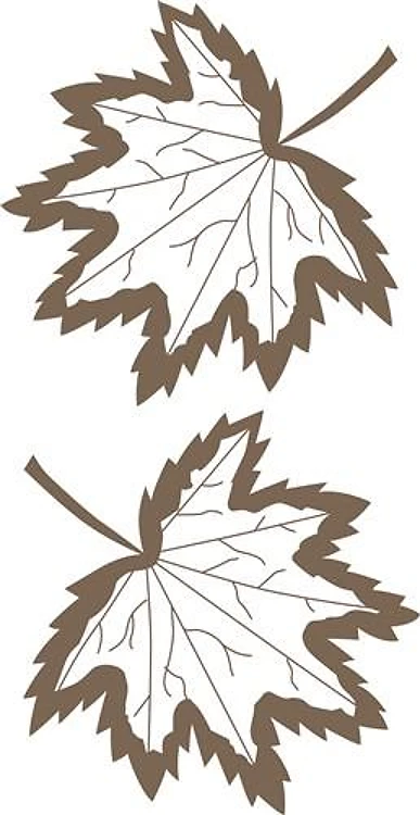 AUTUMN LEAVES OUTLINES