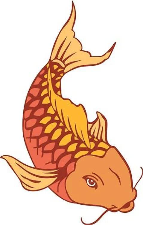 KOI FISH