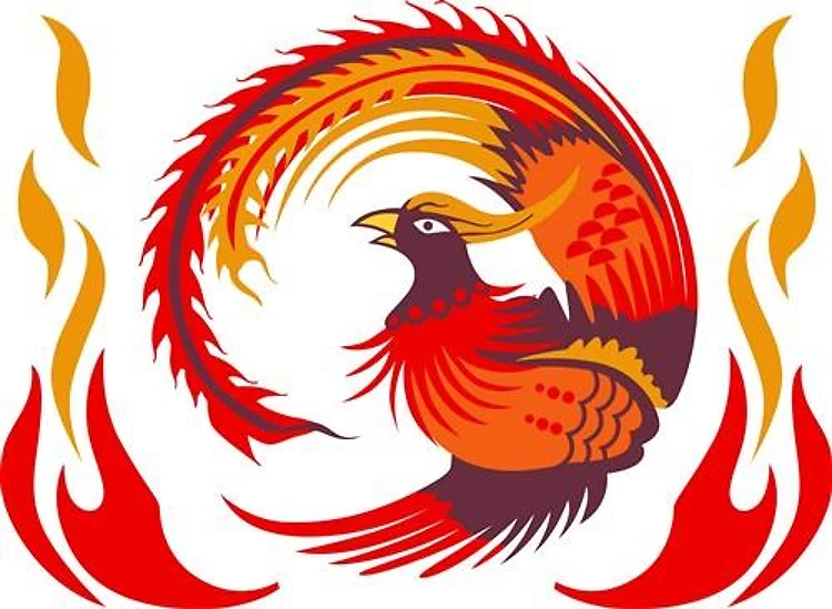 PHOENIX RISING FROM FLAMES