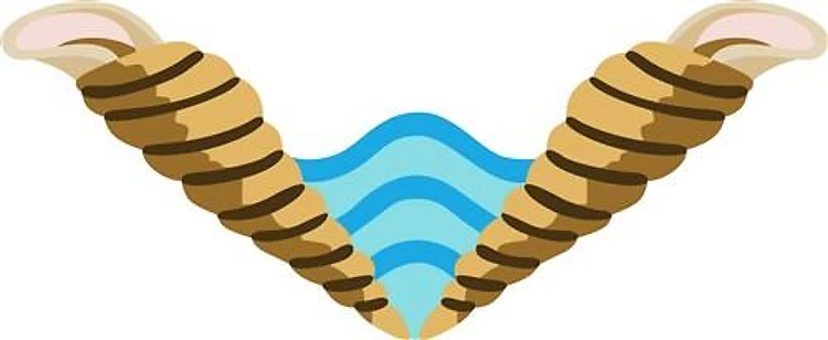 SEASHELLS AND WAVES