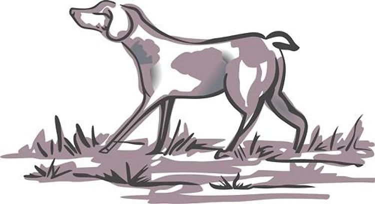 DELFTWARE BIRD DOG