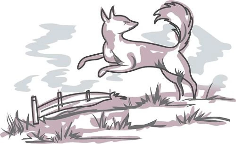 DELFTWARE FOX