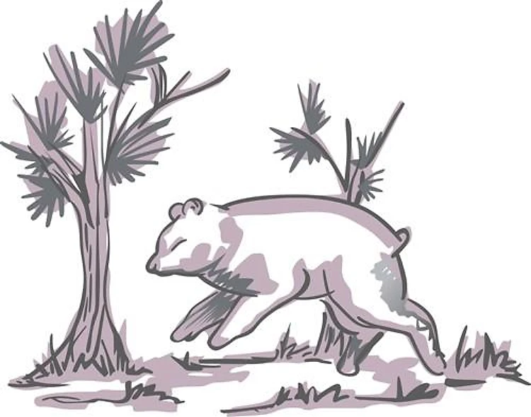 DELFTWARE HOG