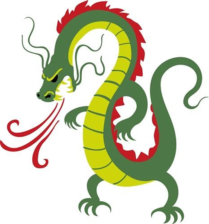 DRAGON