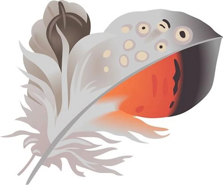FEATHER