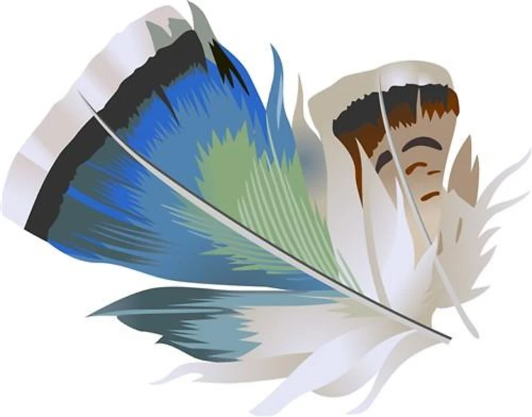 FEATHERS
