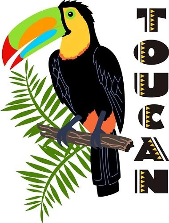 TOUCAN