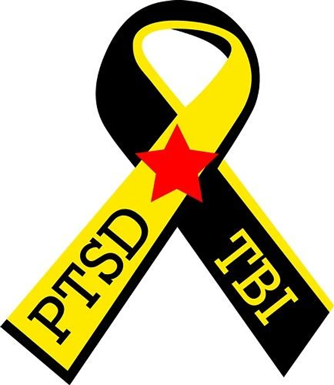 MILITARY PTSD AND TBI RIBBON