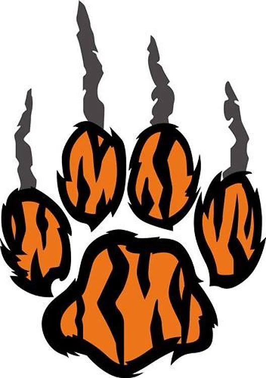 TIGER CLAW MARKS