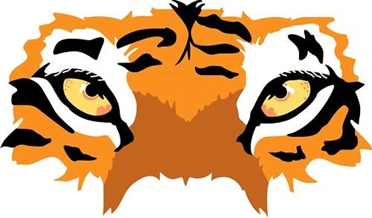 TIGER EYES