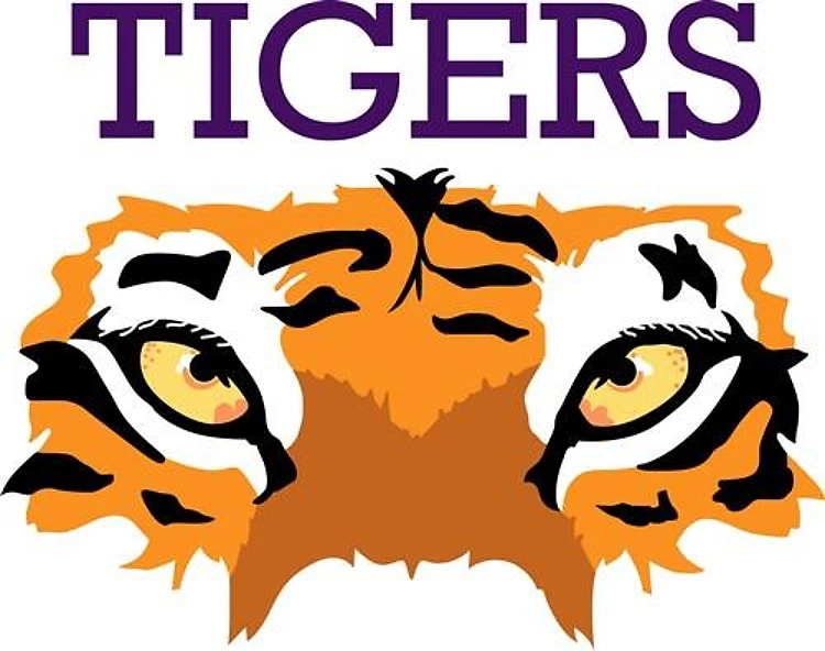 TIGER EYES