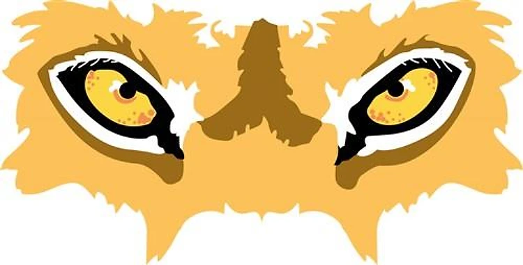 LIONS EYES