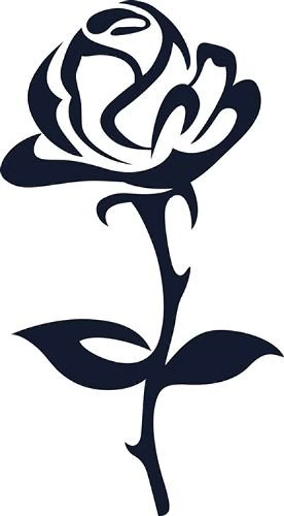 ONE COLOR ROSE