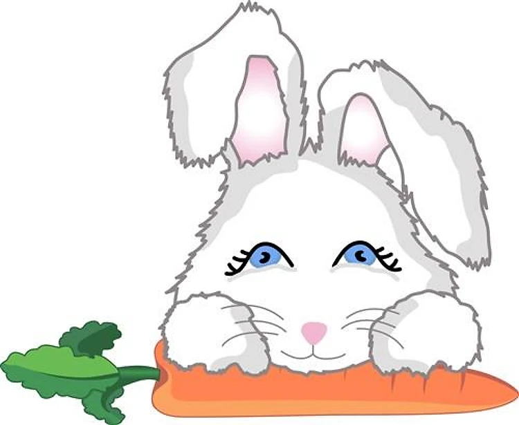 RABBIT AND CARROT