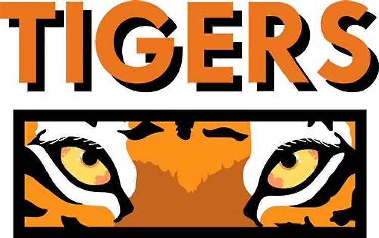 TIGERS AND EYES