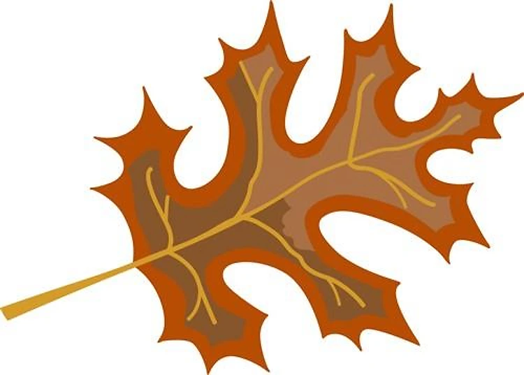FALL OAK LEAF