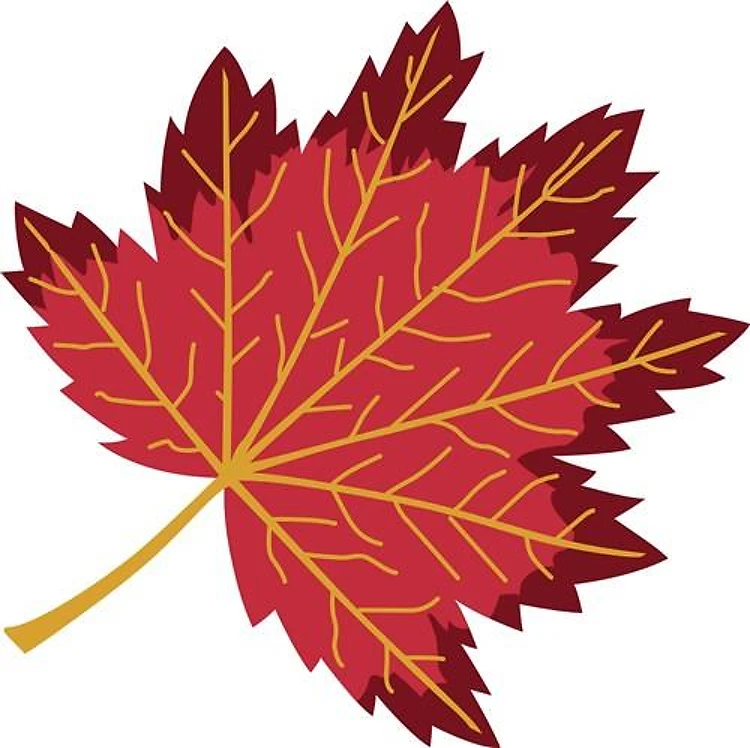 FALL LEAF