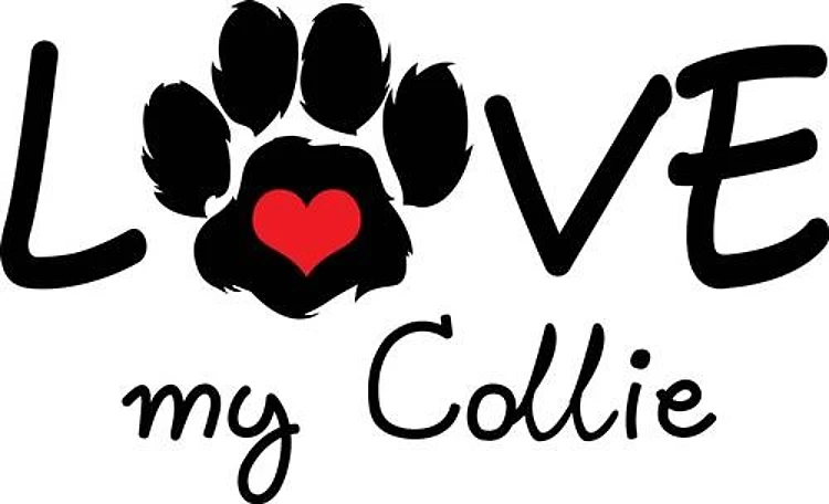 LOVE MY COLLIE