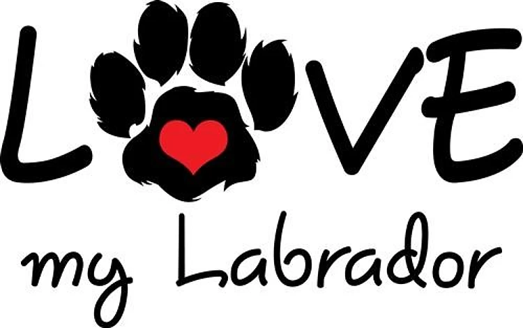 LOVE MY LABRADOR