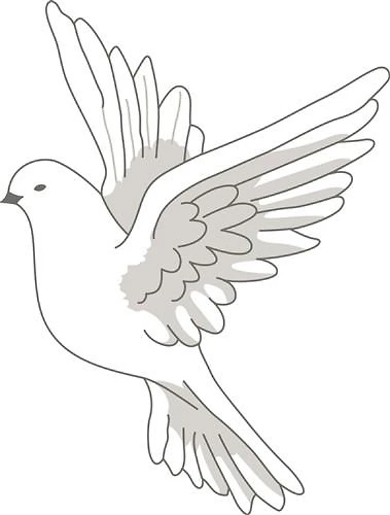 DOVE