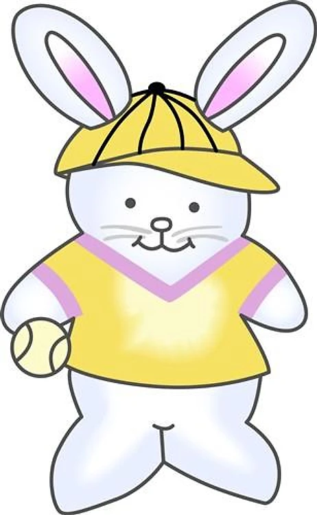 BASEBALL BUNNY