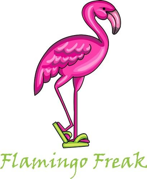 FLAMINGO FREAK