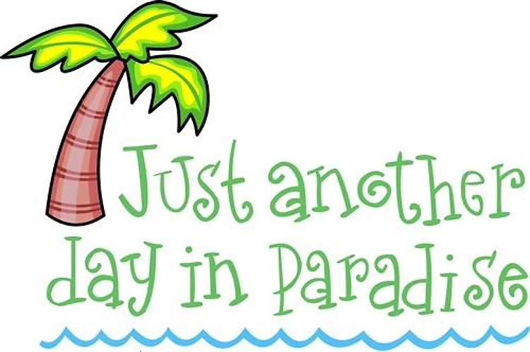 PALM TREE