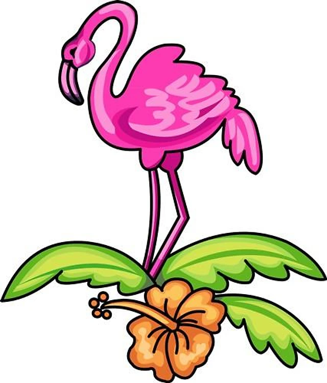 FLAMINGO FLOWER
