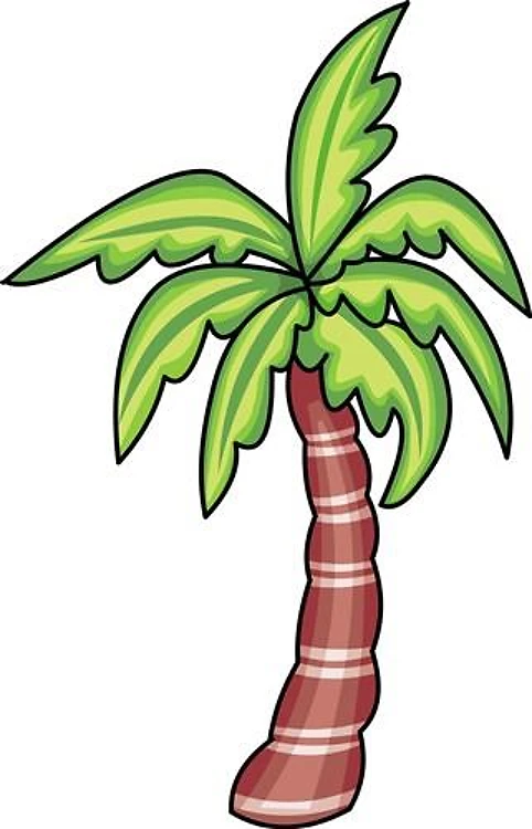 PALM TREE