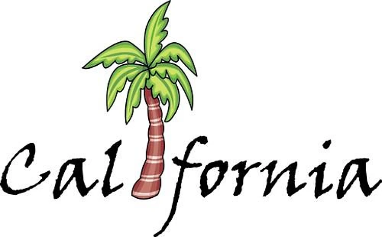 CALIFORNIA PALM