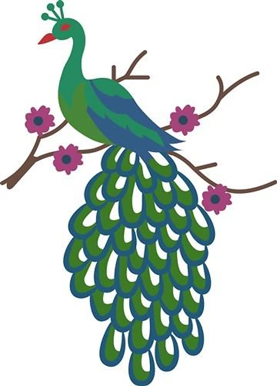 PEACOCK