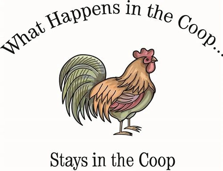 ROOSTER