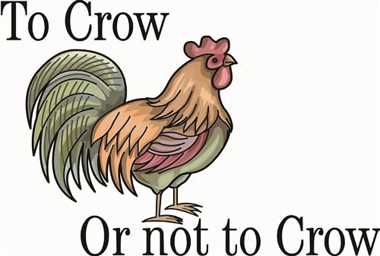 ROOSTER