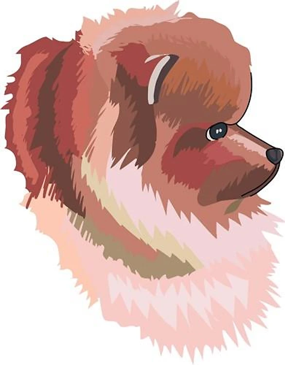 POMERANIAN