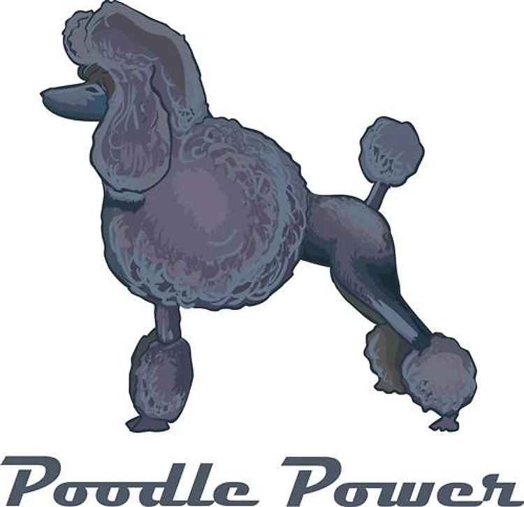 POODLE POWER