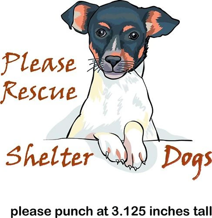 SHELTER DOGS