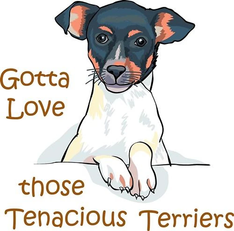 TENACIOUS TERRIERS