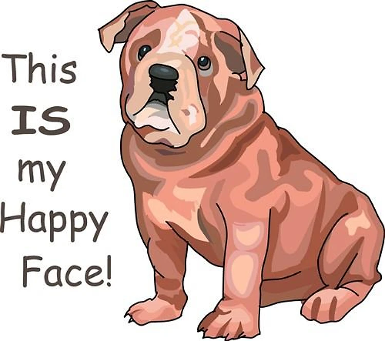 BULLDOG HAPPY FACE